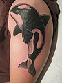 tattoo - gallery1 by Zele - cover up - 2010 05 02